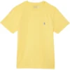 Polo Ralph Lauren Kids Cotton Jersey Crew Neck Tee (Big Kid) | Shirts & Tops