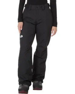The North Face Freedom Insulated Pant | Outerwear Pants and Sets