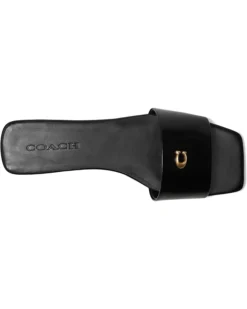 COACH Sculpted C Sandals 9 COACH Sculpted C Sandals -Shoes For Every Day 61P5gFr8NnL. AC SR736920