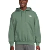 The North Face Evolution Vintage Hoodie | Hoodies & Sweatshirts