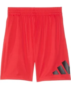 adidas Kids Essentials Big Logo Shorts (Big Kids)