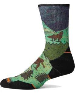 Smartwool Trail Run Targeted Cushion Neature Print Crew Socks