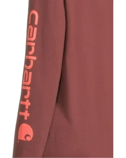 Carhartt Loose Fit Heavyweight Long-Sleeve Logo Sleeve Graphic T-Shirt | Hoodies & Sweatshirts -Shoes For Every Day 816xJRmRMbL. AC SR736920