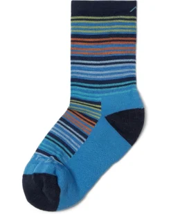 Darn Tough Vermont Zebra Canyon Micro Crew Lightweight with Cushion | Socks