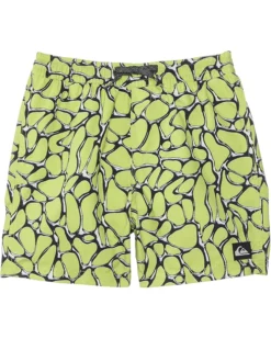 Quiksilver Kids Everyday Mercury Volley (Big Kids) | Shorts